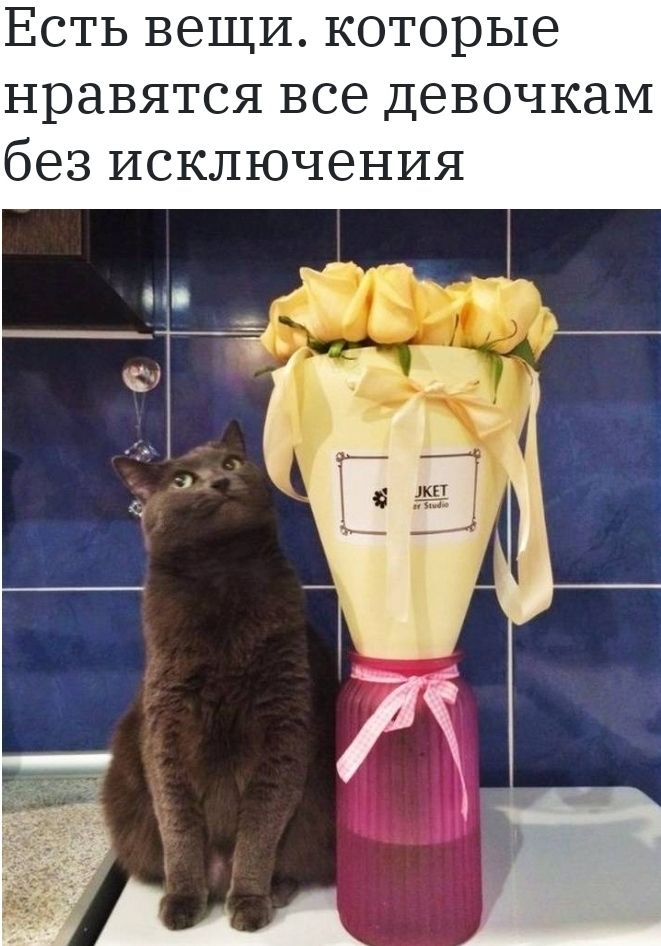 Есть вещи которые нравятся все девочкам без исключения