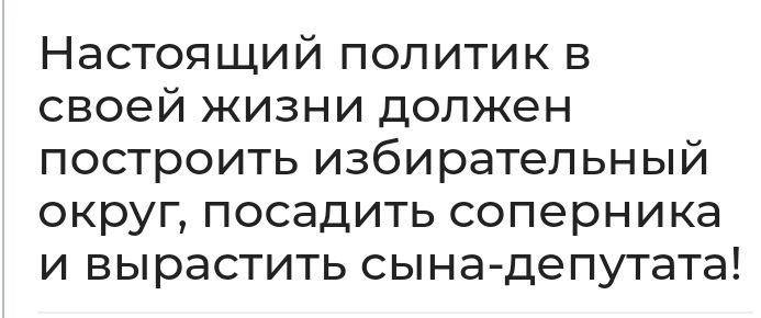 Настоящий политик в своей жизни должен построить избирательный округ посадить соперника и вырастить сына депутата