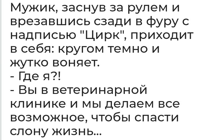 Мужик заснув за рулем и врезавшись сзади в фуру с надписью Цирк приходит в себя кругом темно и жутко воняет Где я Вы в ветеринарной клинике и мы делаем все возможное чтобы спасти слону жизнь