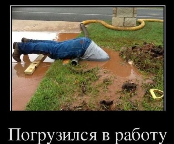 Погрузился в работу