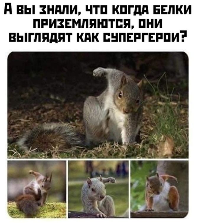 А ВЫ ЗНМИ ЧТП КПГдд БЕПКИ ПРИЗЕМЛПШТПЯ ПНИ ВЫГПЯдЯТ КПК ЕНПЕРГЕРПИ