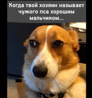 Копи тий хиппи нити чужого пи хорошим ить тиви