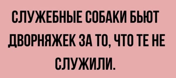 СЛУЖЕБНЫЕ ВПБАКИ БЬЮТ ЛВПРНЯЖЕК ЗА ТО ЧТО ТЕ НЕ СЛУЖИЛИ