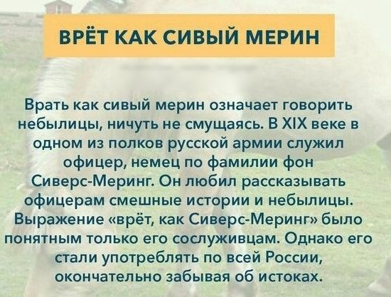 Врать как сивый мерин означает говорить небылицы ничуть не смущаясь В Х1Х веке в одном из полков русской армии служил офицер немец по фамилии фон Сиверс Меринг Он любил рассказывать офицерам смешные истории и небылицы Выражение врёт как Сиверс Меринг было понятным только его сослуживцам Однако его стали употреблять по всей России окончательно забывая об истоках4