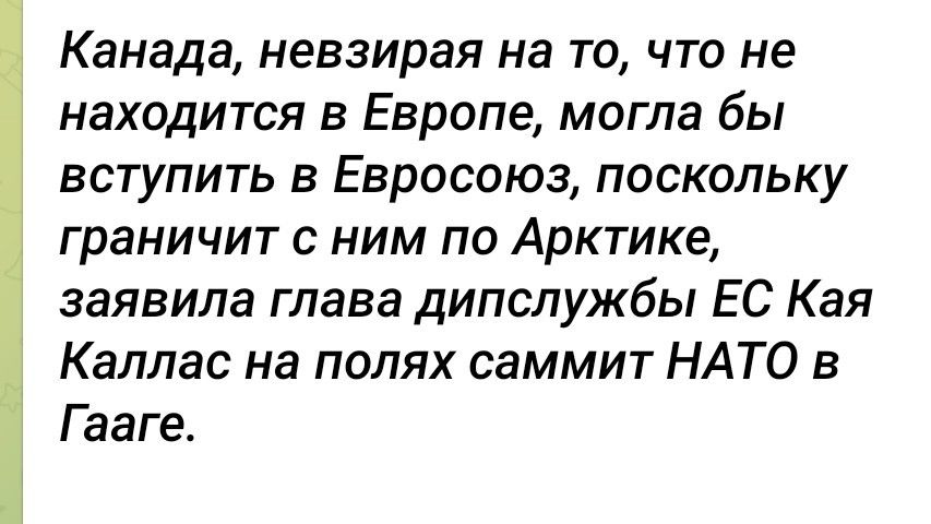Канада, невзирая на то, что не находится в Европе, могла бы вступить в Евросоюз, поскольку граничит с ним по Арктике, заявила глава дипслужбы ЕС Кая Каллас на полях саммита НАТО в Гааге.