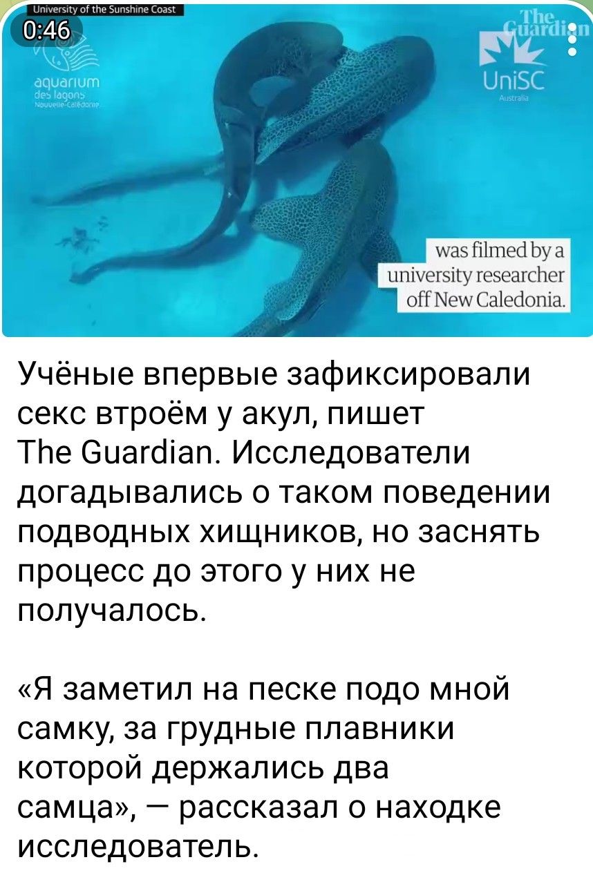 Учёные впервые зафиксировали секс втроём у акул, пишет The Guardian. Исследователи догадывались о таком поведении подводных хищников, но зафиксировать процесс до этого у них не получалось.

«Я заметил на песке подо мной самку, за грудные плавники которой держались два самца», — рассказал о находке исследователь.