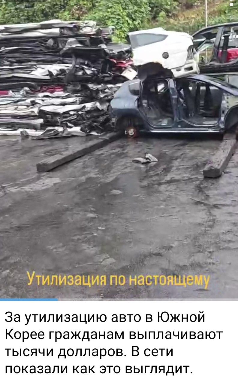 За утилизацию авто в Южной Корее гражданам выплачивают тысячи долларов. В сети показали как это выглядит.