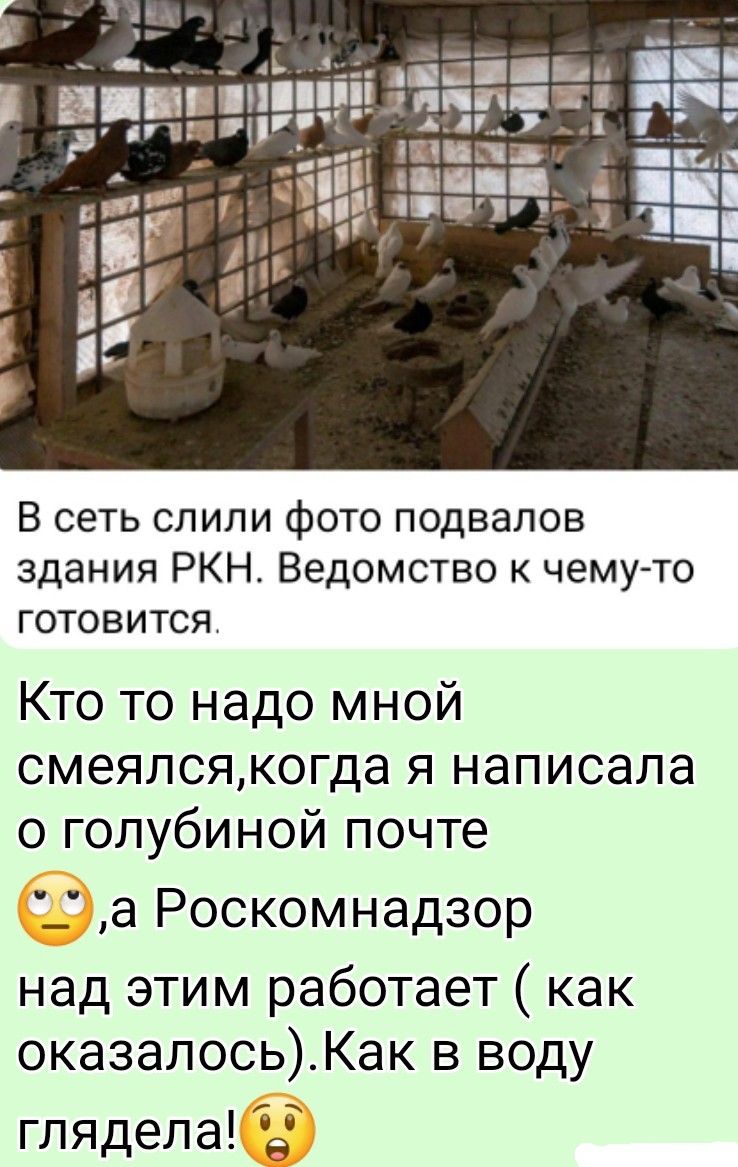 В сеть слили фото подвалов здания РКН. Ведомство к чему-то готовится. Кто-то надо мной смеялся, когда я написала о голубиной почте, Роскомнадзор над этим работает (как оказалось). Как в воду глядела!