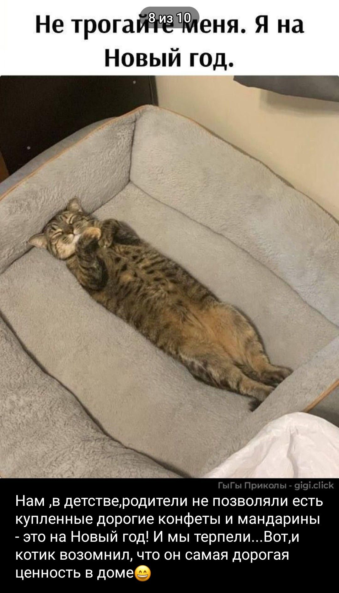 Не трогайте меня. Я на Новый год. Нам в детстве родители не позволяли купленные дорогие конфеты и мандарины - это на Новый год! И мы терпели... Вот и котик возомнил, что он самая дорогая ценность в доме