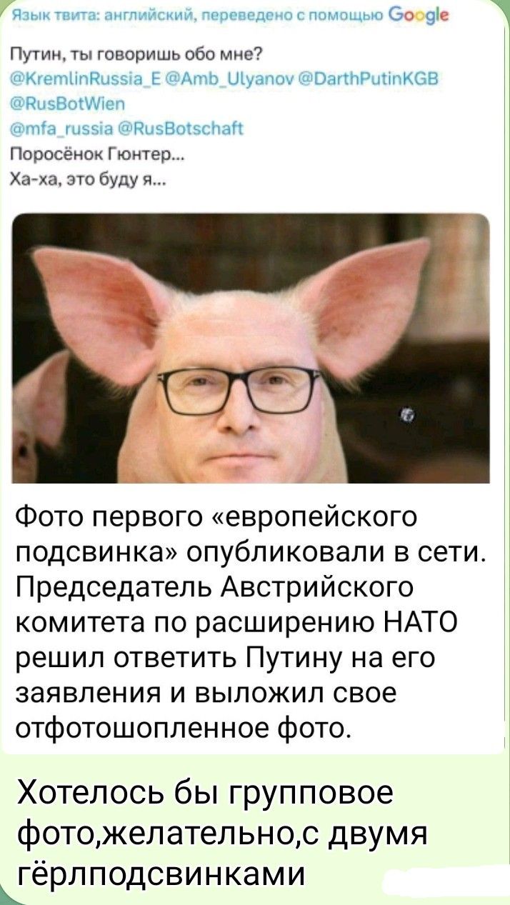Путин, ты говоришь обо мне? Поросёнок Гюнтер... Ха-ха, это буду я... Фото первого «европейского подсвинка» опубликовали в сети. Председатель Австрийского комитета по расширению НАТО решил ответить Путину на его заявления и выложил свое офтошопленное фото. Хотелось бы группoвое фото,желательно,с двумя гёрлподсвинками