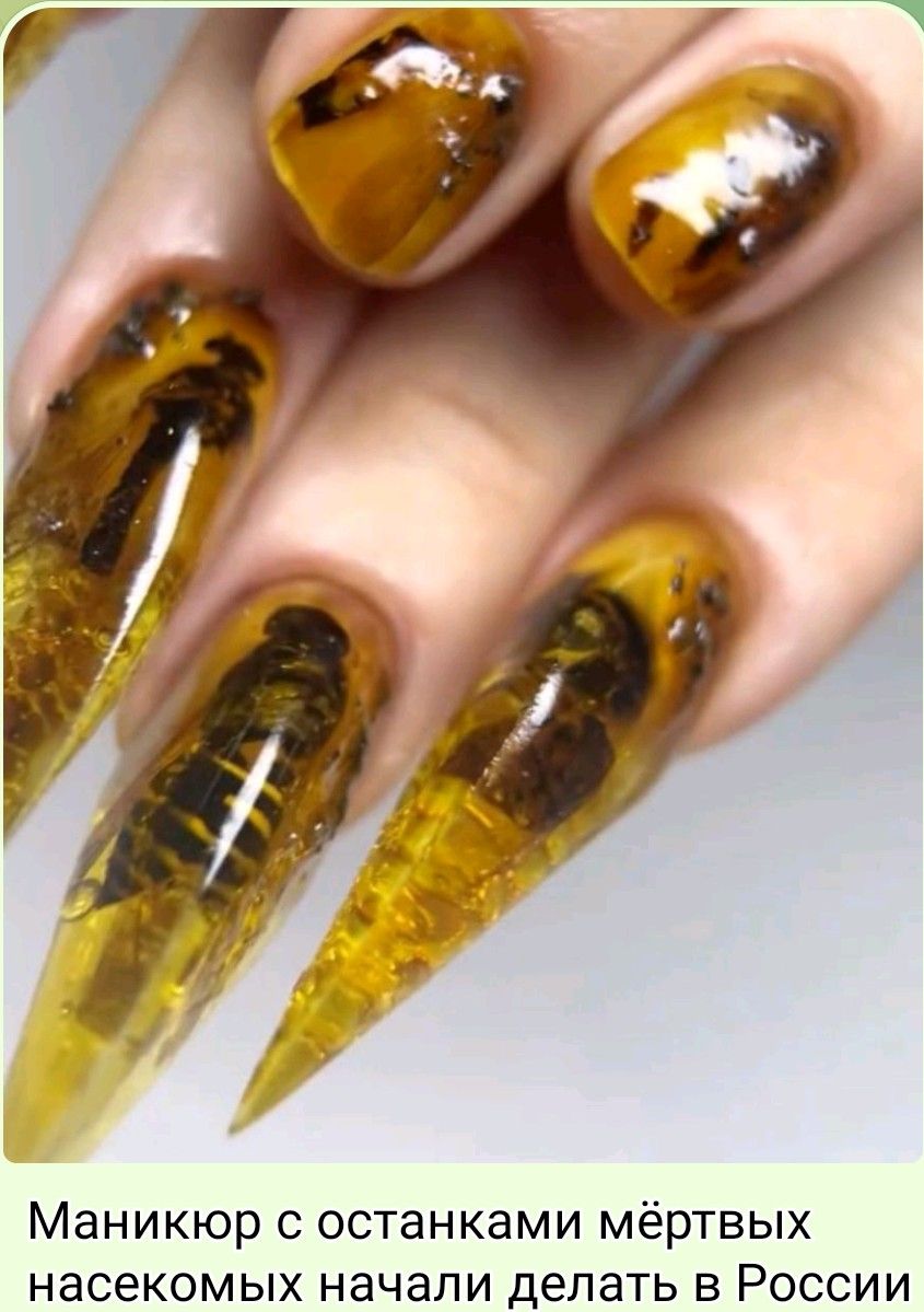 Маникюр с остановками мёртвых насекомых начали делать в России