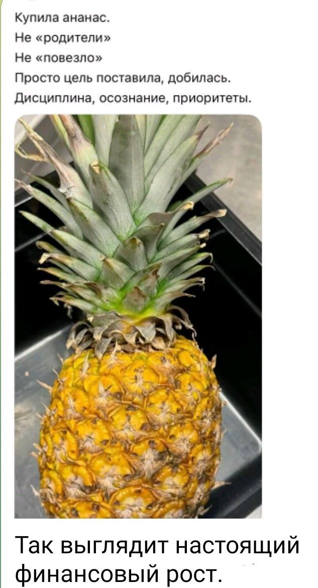 Купила ананас. Не «родители» Не «повезло» Просто цель поставила, добилась. Дисциплина, осознание, приоритеты. Так выглядит настоящий финансовый рост.