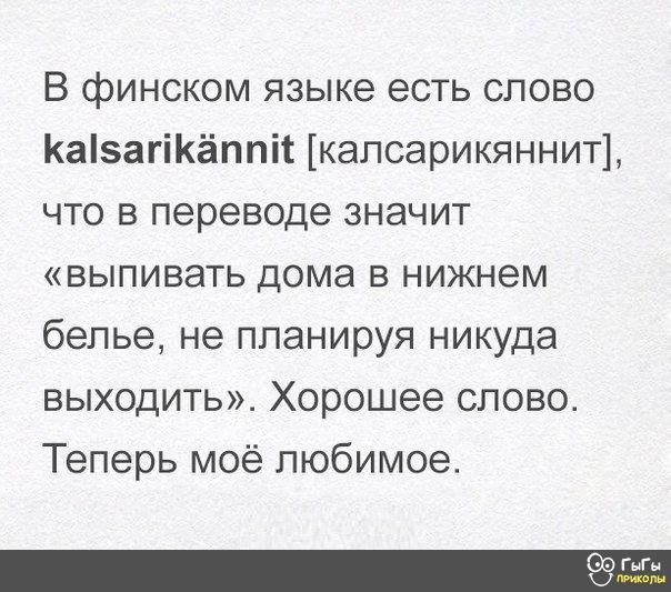 В финском языке есть слово kalsarikännit [калсарикяннит], что в переводе значит «выпивать дома в нижнем белье, не планируя никуда выходить». Хорошее слово. Теперь моё любимое.