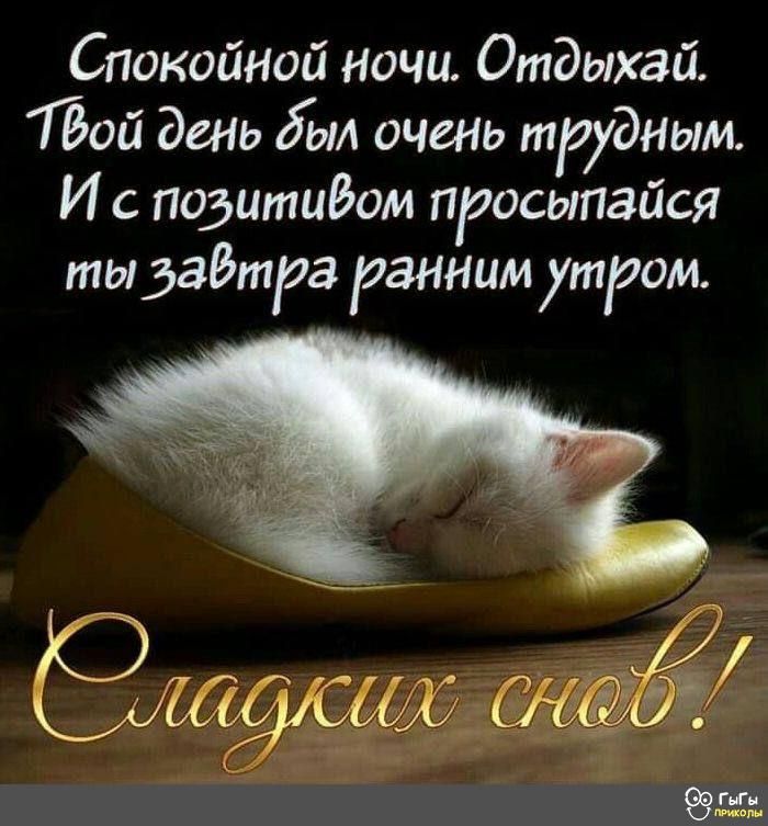 Спокойной ночи. Отдыхай. Твой день был очень трудным. И с позитивом просыпайся ты завтра ранним утром. Сладких снов!