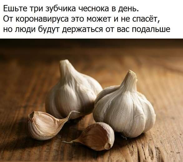 Ешьте три зубчика чеснока 5 день От коронавируса это может и не спасёт но люди будут держаться от вас подальше