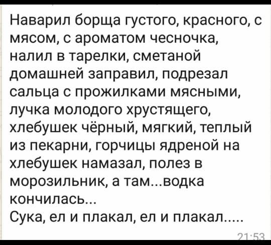 Наварил борща густого красного с мясом с ароматом чесночка налил в тарелки сметаной домашней заправил подрезал сальца с прожилками мясными лучка молодого хрустящего хлебушек чёрный мягкий теплый из пекарни горчицы ядреной на хлебушек намазал полез в морозильник а тамводка кончилась Сука ел и плакал ел и плакал