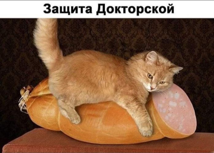 Защита Докторской 1 __
