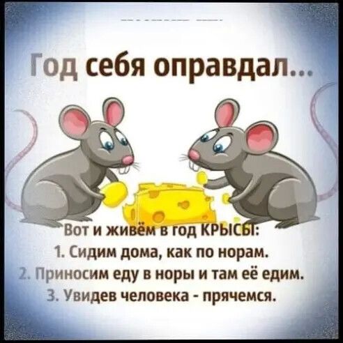 Год себя оправдал _ Вот и ЖЫЫ Сидим дома как по иорам Приносим еду поры и там её едим 3 Увидев человека прячемся