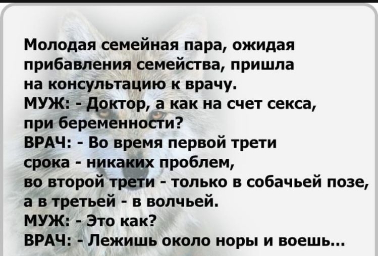 Молодая семейная пара ожидая прибавления семейства пришла на консультацию к врачу МУЖ ждётор а как на счет секса при берем нноЁіи ВРАЧ Во время первой трети срока нидкж проблем во второи т и только в собачьей позе а в третьей в волчьей МУЖ Это как ВРАЧ Лежишь около норы и воешь