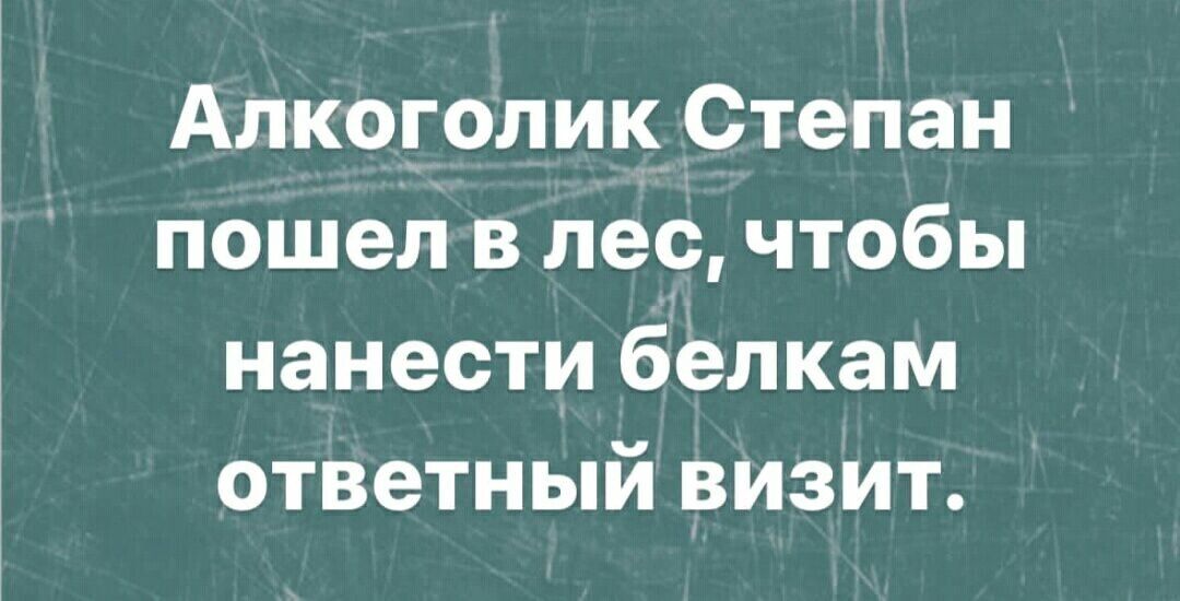 Алкоголик Степан пошел в лес чтобы нанести белкам ответный визит