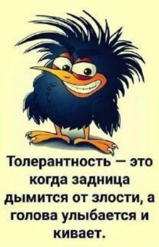 Толерантность это когда задница дымится от злости а голова улыбается и кивает