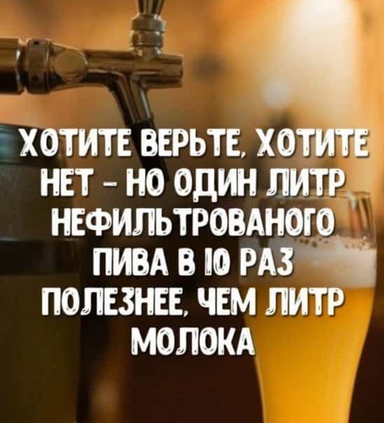 хотитв вврьтв хо нвт но один литр инфильтровдного пивд в по мг полыни чвм литр молокд