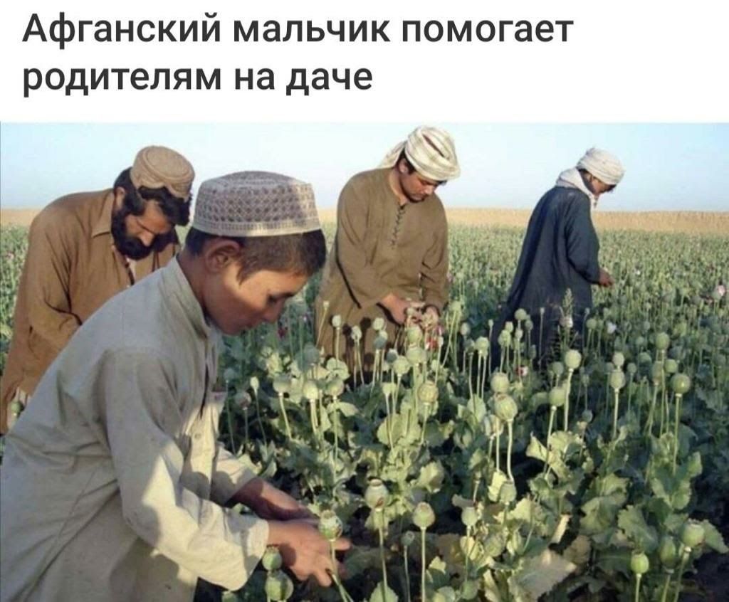 Афганский мальчик помогает родителям на даче
