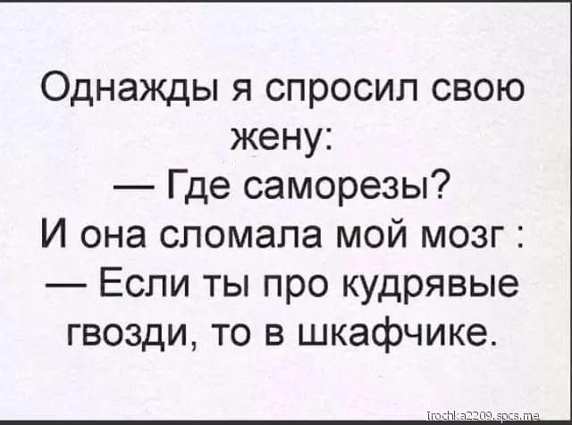 Однажды я спросил свою жену Где саморезы И она сломала мой мозг Если ты про кудрявые гвозди то в шкафчике