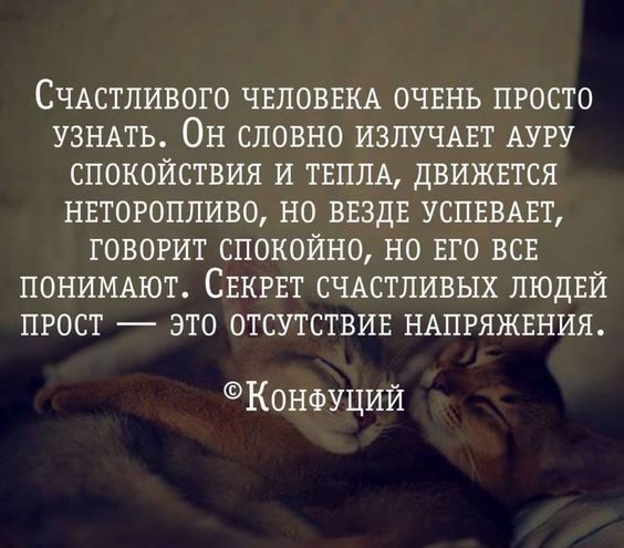 СЧАСТЛИВОГО ЧЕЛОВЕКА ОЧЕНЬ ПРОСТО УЗНАТЬ он словно ИЗЛУЧАЕТ АУРУ СПОКОЙСТВИЯ И ТЕШЦ дВИЖЕТСЯ НЕТОРОПЛИВО НО ВЕЗДЕ УСПЕВАЕТ ГОВОРИТ СПОКОЙНО НО ЕГО ВСЕ ПОНИМАЮТ СЕКРЕТ СЧАСТЛИВЫХ ЛЮДЕЙ ПРОСТ ЭТО ОТСУТСТВИЕ НАПРЯЖЕНИЯ Конфуций