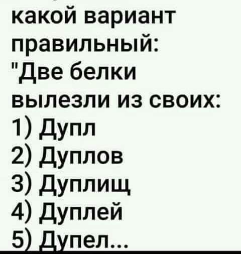 какой вариант правильный две белки вылезли из своих 1 дУпл 2 дуплов 3 дуплищ 4 Дуплей 5 пел