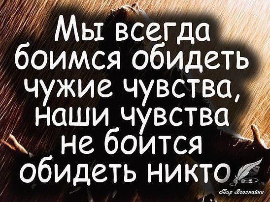 Мы всегда боимся обидеть чужие чувства наши чувства іі не боится Обидеть никто