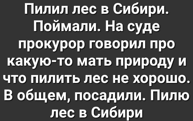 Пилип лес в Сибири Поймали На суде прокурор говорил про какую то мать природу и что пилить лес не хорошо В общем посадили Пилю лес в Сибири