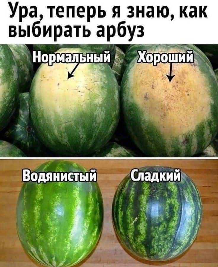 теперь Я знаюкак выабирать арбуз Нормальицйз Хороший 1 23 Ъ _ Ъ Водяиисіый Сладкий