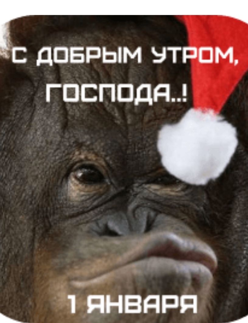 С добрым утром, господа..!\n1 января