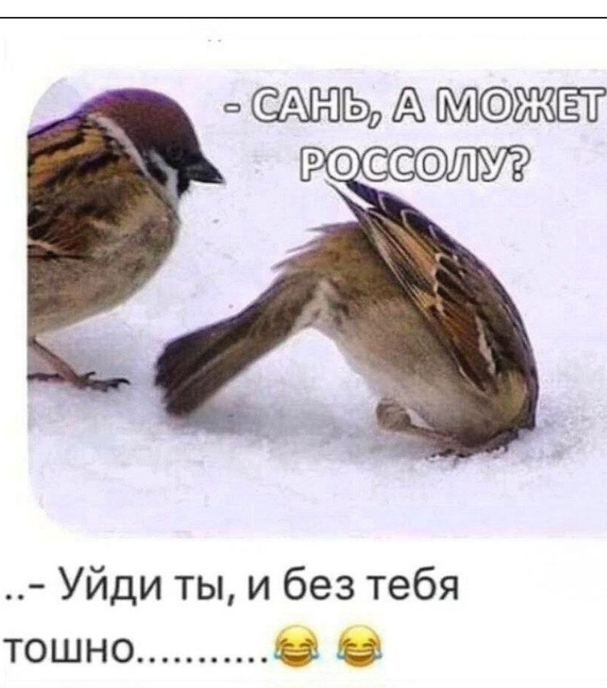 - Сань, а может россолу?\n- Уйди ты, и без тебя тошно.......... 😂😂