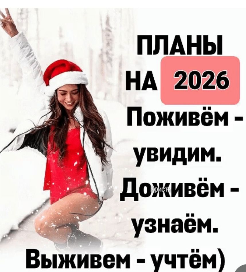ПЛАНЫ НА 2026 Поживём - увидим. Доживём - узнаём. Выживем - учтём