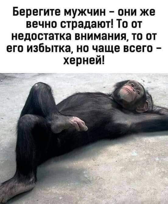 Берегите мужчин - они же вечно страдают! То от недостатка внимания, то от его избытка, но чаще всего - херней!