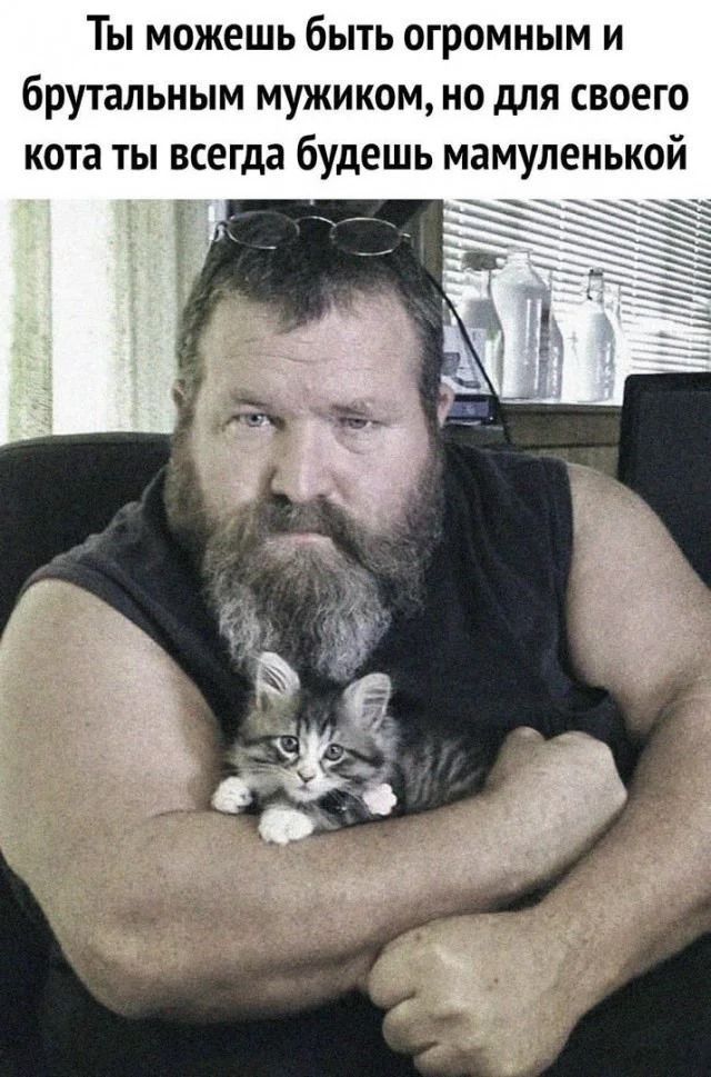 Ты можешь быть огромным и брутальным мужиком, но для своего кота ты всегда будешь мамуленькой