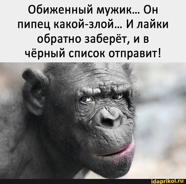 Обиженный мужик... Он пипец какой-злой... И лайки обратно заберёт, и в чёрный список отправит!