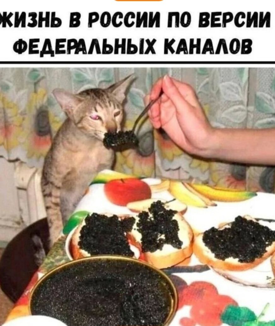 Жизнь в России по версии федеральных каналов