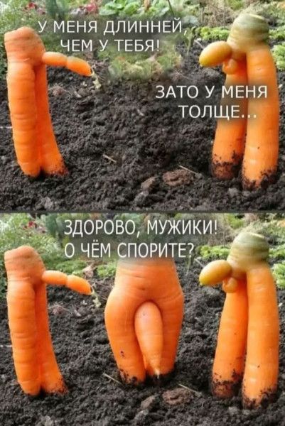 У МЕНЯ ДЛИННЕЙ, ЧЕМ У ТЕБЯ! ЗАТО У МЕНЯ ТОЛЩЕ... ЗДОРОВО, МУЖИКИ! О ЧЁМ СПОРИТЕ?