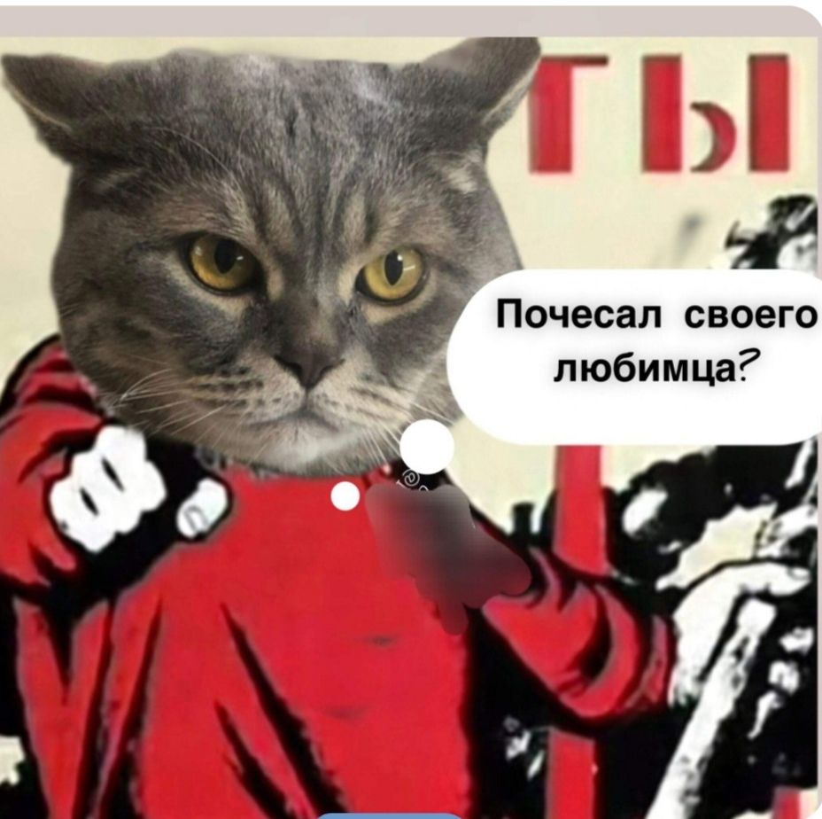 Почесал своего любимца?