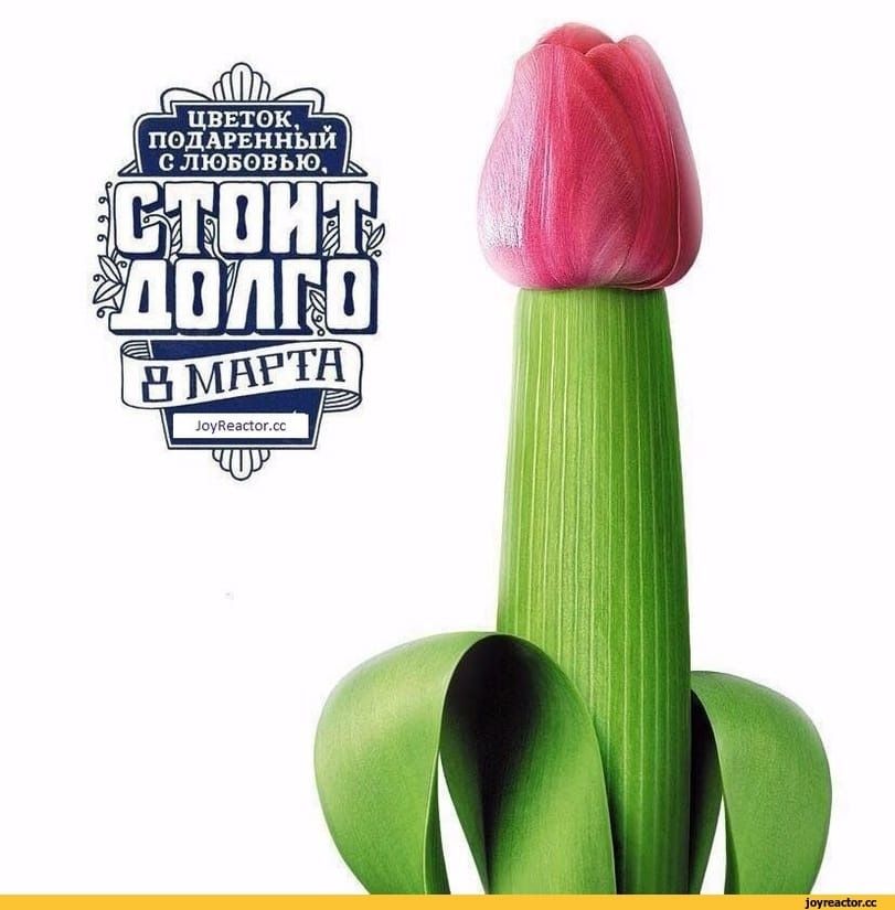 ЦВЕТОК, ПОДАРЕННЫЙ С ЛЮБОВЬЮ. СТОИТ ДОЛГО В МАРТА