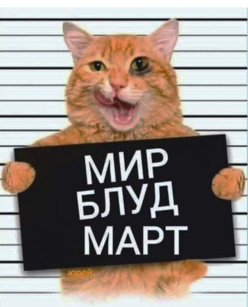 МИР БЛУД МАРТ юрей