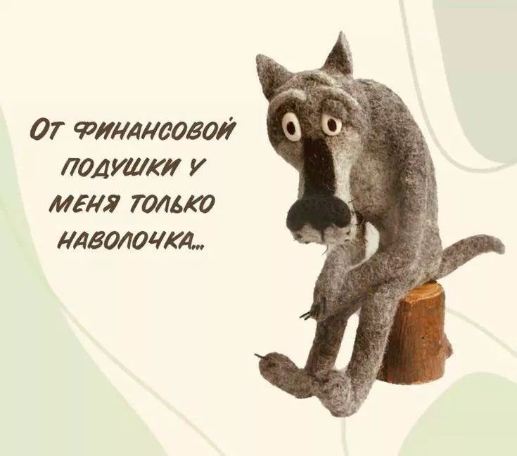 От финансовой подушки у меня только наволочка...