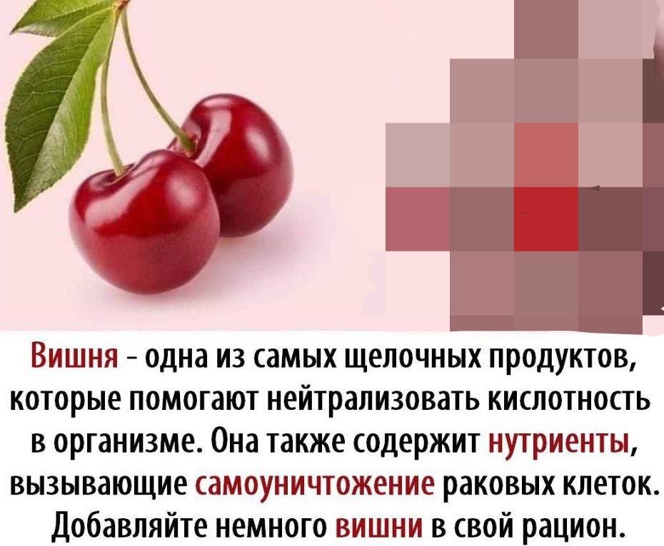 Вишня одна из самых щелочных продуктов которые помогают нейтрализовать кислотность в организме Она также содержит нутриенты вызывающие самоуничтожение раковых клеток добавляйте немного вишни в свой рацион