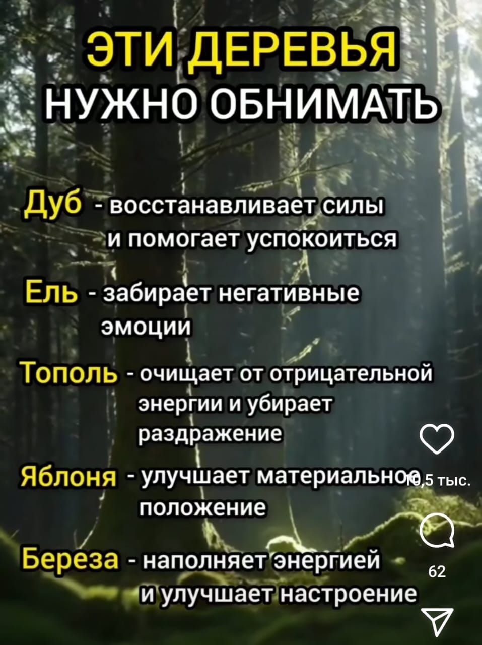 д ЭТИ ДЕРЕВ Я Ё НУЖНО ОБНИМА за 0 щ Дуб восстанавливаесилы а зи помогает успокоиться Ель забирает негатупвные эмоциИ а Е Тополь очищает от отрицательной энергии и убирает раздражение Ф Яблоня улучшает материальнов тьс положение _ Н Береза напощяетэнергиеи че У ч ийулучшаетнастроение