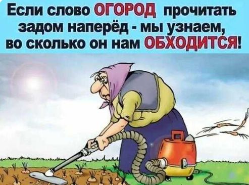 Если слово ОГОРОД прочитать задом наперёд мы узнаем во сколько он нам ОБХОДИТСЯ