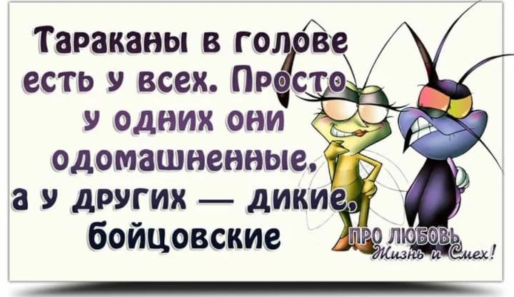 Таракавы в голове одомашненные 7 а У ДРУГИХ ДИКИ бойцовские