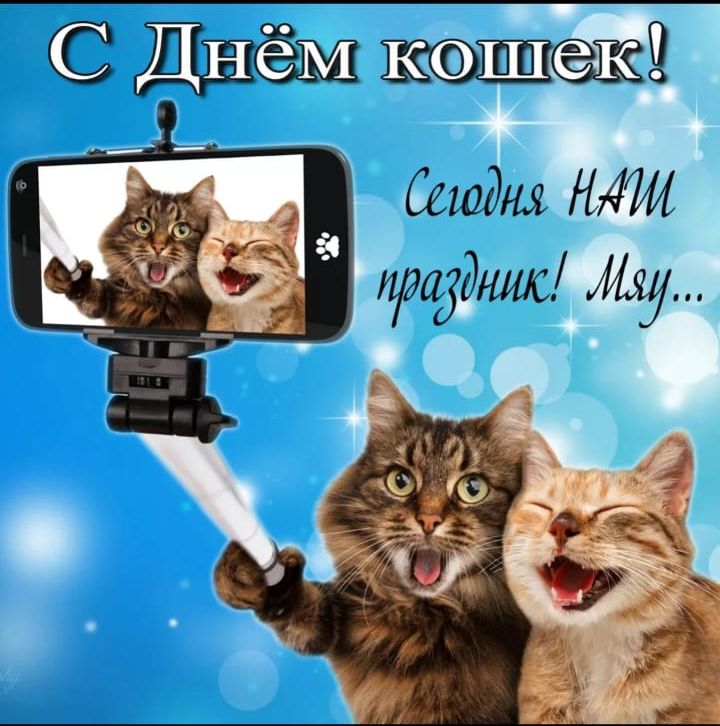 коека! Саидия. 4и